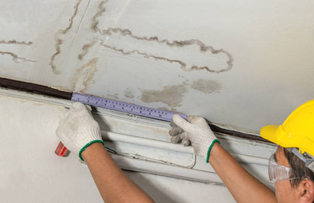 Reliable Mold Remediation contractor in Pullman, MI by Local Water Damage Repair